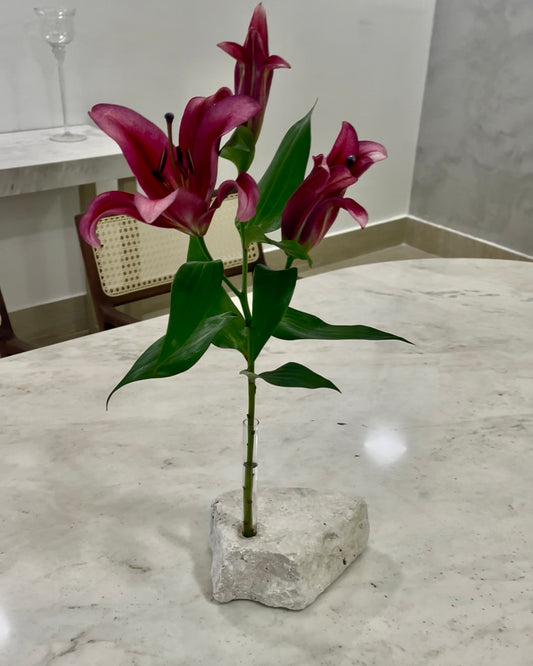 Porta Flor - Pietra Di Flor Mármore Travertino